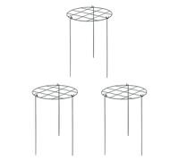 3x gabbie peoniche e supporta l'arrampicata per il cortile dei fiori di