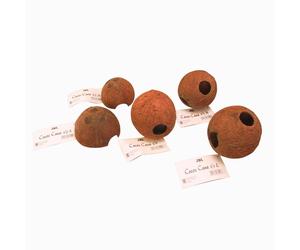 3x JBL Cocos Cava 1/2M, confezione da 3
