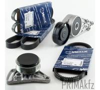 3x Meyle Set Cinghia Scanalata + Tendicinghia per Audi A4 A6 Passat 1.6 1.8 2.0
