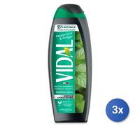 3x Vidal Doccia 250 Ml. Menta & Ginkgo Made In Italy