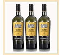 3x vino Marche Passerina igt Castrum, 0,75 lt, Cantina Il Crinale, prodotto tipico marchigiano, Italia