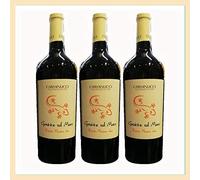 3x vino Rosso Piceno DOC Grotte sul Mare, Cantina Carminucci, Grottammare, Ascoli Piceno, Italy, prodotto tipico marchigiano