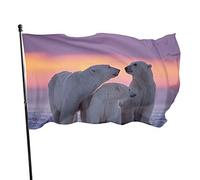 3x5 Ft Bandiera Decorativa per Esterni Grande Bandiera da Giardino Albe Orsi Polari Bandiera Stagiona