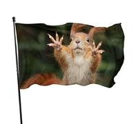 3x5 Ft Bandiera Decorativa per Esterni Grande Bandiera da Giardino Scoiattolo Animale Divertente Band