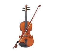 4/4 Violino Acustico Elettrico Violino In Legno Massello Violino Con Custodia Arco Colore Legno Violino Professionale Per Principianti