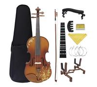 4/4 Violino Acustico In Legno Massello Intagliato Violino Tiglio Violino Kit Con Custodia Arco Principianti Accessori Per Strumenti (Color : Set 1)