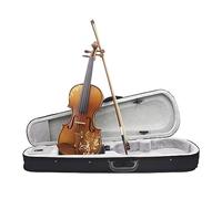 4/4 Violino Acustico In Legno Massello Intagliato Violino Tiglio Violino Kit Con Custodia Arco Principianti Accessori Per Strumenti (Color : Set 2)