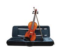 4/4 violino strumento musicale in legno di abete rosso violino acustico con custodia, arco e poggiaspalla, set di accessori per corde in tessuto (Color : 4-4)