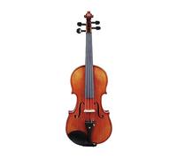 4/4 violino strumento musicale in legno di abete rosso violino acustico con custodia, arco e poggiaspalla, set di accessori per corde in tessuto (Color : 4-4 Set)