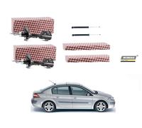 4 Ammortizzatori Ashika Anteriori - Posteriori per Renault Megane II