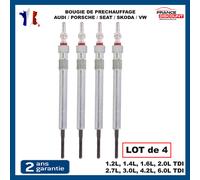 Lotto 4 Candele Candela Candelette per Audi A4 A6 Q5 2.0 2.7 3.0 4.2 Tdi