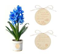 4 ciondoli in legno grazie che mi hai aiutato a far crescere per decorare il vaso di fiori, educatore, insegnante, asilo, regalo di addio, educatore