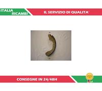 4 GANASCE FRENO POSTERIORI ASHIKA 55-03-327