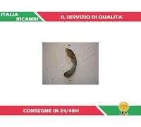 4 GANASCE FRENO POSTERIORI ASHIKA 55-03-388
