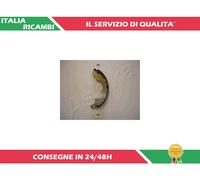 Ashika Ganasce Freno 55-08-808