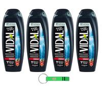 4 gel doccia Vidal Bagnodoccia Energy & Sport/schiuma doccia con estratti di ginseng e guaranà 250 ml + portachiavi Beni Culinari gratuito