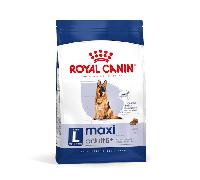 4 kg Royal Canin Maxi Adult 5+ cani maturi di taglia grande (tra 26 e 44 kg)