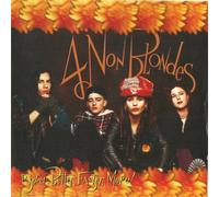 4 NON BLONDES - Hey, What's Going On? ... etc. & more Tracks (CD Album 4 NON BLONDES, 11 Tracks)