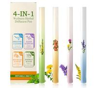 4 PCS Diffusore di Erbe Aromatiche, Herbal Diffuser Pen, Formula con Estratti Vegetali Multipli, Design Portatile, Aumenta l'energia, Rinfrescante e Rinvigorente
