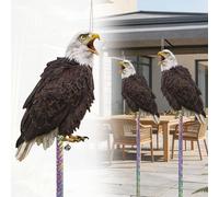 4 Pezzi Aquila Anti Piccioni, Dissuasori Piccioni Da Esterno, Da Appendere Plastica Sagoma Piatta con Stampa Su Due Lati, Allontana e Spaventa Uccelli per Terrazza, Balcone, Finestre e Patio