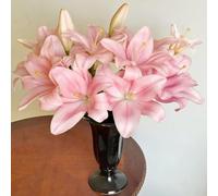 4 pezzi bulbi di lirie resistenti - bulbi primavera, lirio Los de son perenni, resistenti, piccolo per le donne, giardino,