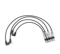4 Pezzi Cavi Di Accensione: Bobina Di Accensione, Cavi Della Bobina Di Accensione per Touran, Golf 5 Plus, Golf 6, Caddy, Polo, Beetle, A1 8x, A3 8p, Altea, Ibiza, Toledo, Leon, Fabia, Octa-Via