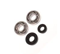 4 pezzi cuscinetto a sfere scanalati albero motore paraolio kit adatto for CG430 520 TL43 TL52 decespugliatore parte di manutenzione del motore(A4)