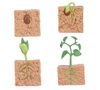 4 pezzi di giocattoli del ciclo di vita per bambini, modello di processo di crescita delle piante simulato kit di coltivazione di piante da seme giocattolo educativo per strumenti didattici per bambi