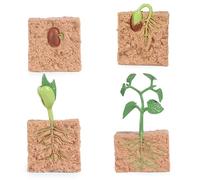 4 pezzi di giocattoli del ciclo di vita per bambini, modello di processo di crescita delle piante simulato, kit di coltivazione di piante da seme, giocattolo educativo per strumento didattico