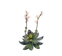 4 pezzi - EUROPALMS Cisto Giallo Rosa - Pianta Artificiale Elegante 32 cm