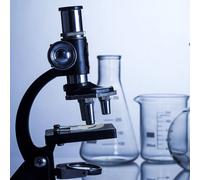 4 pezzi in laboratorio di orologio da orologio resistente ad alta temperatura
