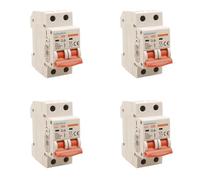 4 Pezzi Interruttore Magnetotermico 25A B25, Bipolare 2P, Curva B 6kA, 2 Moduli DIN 220V AC, Certificato IEC60898-1, Serie SB6L