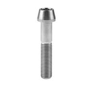 4 Pezzi M10x20~100 Mm DIN912 Bulloni In Titanio Passo 1,25 Viti A Testa Conica E Testa Esagonale For Moto Auto(Titanium,30MM_M10)