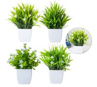 4 Pezzi Piante in Vaso Piccole Verdi Perfette Per Valorizzare gli Spazi Interni