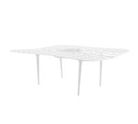 4 Pezzi Supporto per Fragole, in Plastica Bianca | Accesso All’irrigazione Semplice, Maggiore Distanza dal Suolo, Giardinaggio in Contenitore, Balcone e Orto