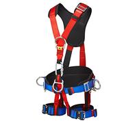 4-Point Harness Comfort Plus Color: Red Talla: