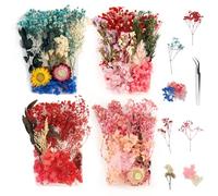 4 Scatole Fiori Secchi, Fiori Secchi Decorativi Fiori Secchi Naturali Fiori Secchi per Resina Epossidica con Pinzette per Artigianato, Carte in Resina Fai-da-te, Creazione di Candele