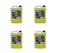 4 TANICHE LIQUIDO TERGIVETRO 5 LT TERGICRISTALLI DETERG VETRI VASCHETTA AUTO