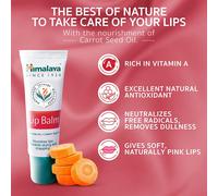 4 x balsamo labbra dell'Himalaya per labbra secche e screpolate tubo da 10 g ...