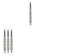4 x Candela a incandescenza BorgWarner (BERU) per CITRON, FIAT, NISSAN,