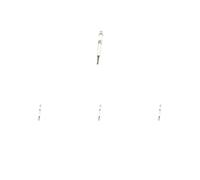 4 x Candela a incandescenza BOSCH per HONDA ACCORD VII, CIVIC VIII, CR-V II,