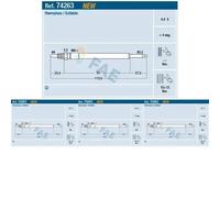 4 x Candela a incandescenza FAE per CITRON, FORD, PEUGEOT 2008, 207, 207 CC,