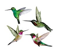 4 x Hummingbird Window Clings for Glass Safety on Doors Windows and G
