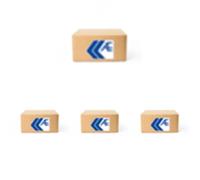 4 x Leva valvola AE per CHEVROLET, NISSAN, OPEL ANTARA A, CABSTAR