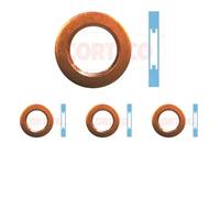 4 x Rondella dell'iniettore CORTECO per AUDI, SKODA, VW A4 B5, A4 B6, A4 B7