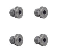 4 X YOU.S Vite Di Olio Per Ingranaggio M10 X 1,0 Per Audi A4 8D2 8D5 A6 4A2 4A5