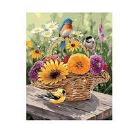 40 * 50 cm dipinto a mano in tela a muro arte senza telaio pittura ad olio di numeri kit set for adulti, bambini, principianti, Fai da te Dipingi i numeri con la decorazione della parete della casa de