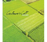 40 Acres by Caedmon's Call (1999-04-13)
