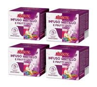 40 Capsule Ristora Compatibili Nescafé Dolce Gusto Infuso Mirtillo Frutti Misti