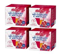 40 Capsule Ristora Compatibili Dolce Gusto Melograno e Mirtillo